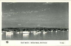 View of Quiet Harbor, Balboa Beach Newport Beach, CA Postcard Postcard