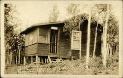 The Lone Pine Cottage at Ole Rismon's Lodge Postcard