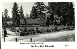 Peter Pan Woodland Club Postcard