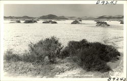 Dry Lake, Southern California Postcard