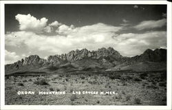 Organ Mountains Las Cruces, NM Postcard Postcard