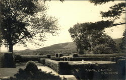 Tanglewood Gardens Trees Postcard Postcard