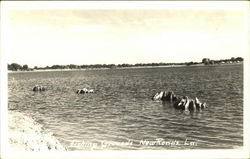 Fishing Grounds Postcard