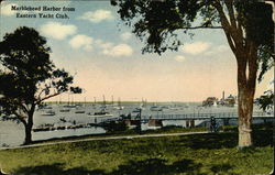 Marblehead Harbor from Eastern Yacht Club Postcard