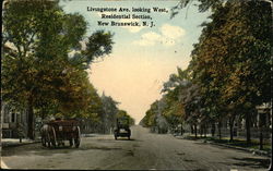 Livingstone Avenue Looking West Postcard