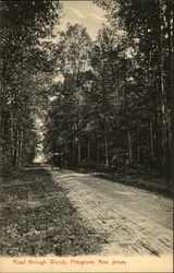 Road Through the Woods Pittsgrove, NJ Postcard Postcard