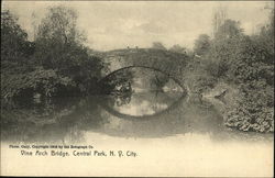 Vine Arch Bridge, Central Park New York City, NY Postcard Postcard