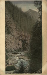 In the Mountains Near Everett Washington Postcard Postcard