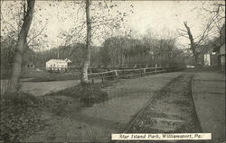 Star Island Park Williamsport, PA Postcard Postcard