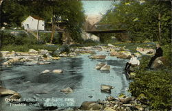 Gwynns Falls Postcard