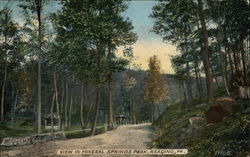 View in Mineral Springs Park Reading, PA Postcard Postcard