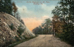 On the Boulevard on Mt. Penn Reading, PA Postcard Postcard