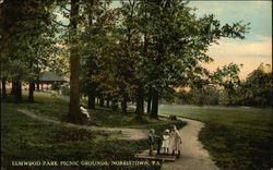 Elmwood Park Picnic Grounds Norristown, PA Postcard Postcard