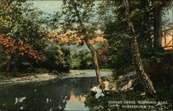 Stoney Creek, Elmwood Park Norristown, PA Postcard Postcard