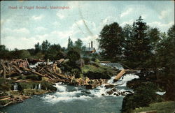 Head of Puget Sound Washington Postcard Postcard