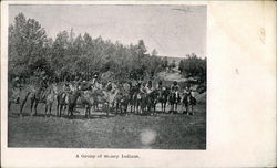 A Group of Soney Indians Native Americana Postcard Postcard