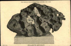 Willamette Meteorite, The American Museum of Natural History, New York Geology, Rocks & Minerals Postcard Postcard