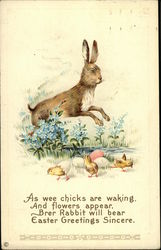 Easter Greetings, With Rabbit and Chicks Postcard