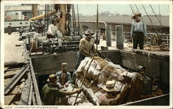 Loading Cotton into Ship's Hold Black Americana Postcard Postcard