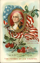 Washington President's Day Postcard Postcard