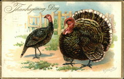 Thanksgiving Day with Turkeys Postcard Postcard