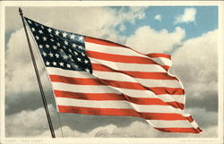 Old Glory Patriotic Postcard Postcard