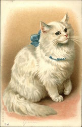 Fluffy White Cat with Blue Bow Around Neck Cats Postcard Postcard