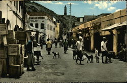 Steamer Point Postcard