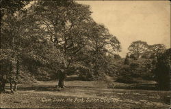 Gum Slade, The Park Sutton Coldfield, England Postcard Postcard