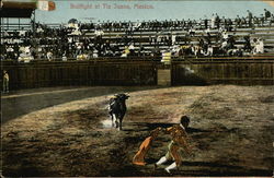 Bullfight at Tia Juana Postcard