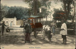 Hackney Carriage Singapore, Singapore Southeast Asia Postcard Postcard