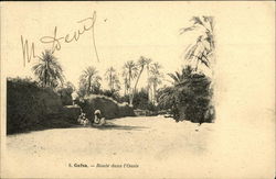 Route dans l'Oasis Postcard