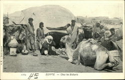 Chez Les bicharis, Egypte Africa Postcard Postcard