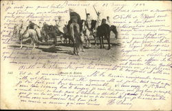 Bedouin Men on Horses Postcard