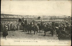 Men on Horses Tunisia Africa Postcard Postcard