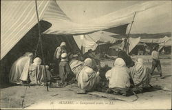 32 Algérie - Campement arabe Postcard