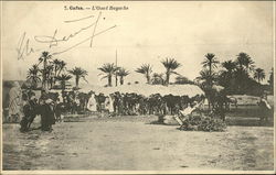 L'Oued Bayache Postcard