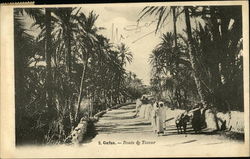 Route de Tozeur Postcard