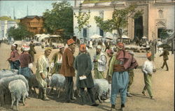 Marché de moutons à Sultan Bayazid Postcard