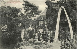 The Whales Jaw's Arch Postcard