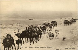 205 - Grand désert du Sahara Postcard