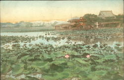 Lily Pad Field and House Postcard