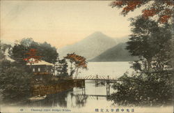 Chuzenji (Ojiri Bridge) Nikko, Japan Postcard Postcard