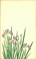 Irises Japan Flowers Postcard Postcard