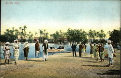 On the Nile Egypt Africa Postcard Postcard