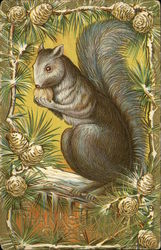 Squirrel Eating Nuts Framed by Pinecones Postcard Postcard