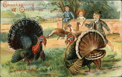 Thanksgiving Greetings with Children and Turkeys Postcard