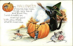 Now, Halloween of Course, May Mean Things Very Weird and Ghost Like; Postcard Postcard