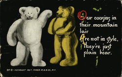 Our Cousins in Their Mountain Lair Are Not in Style, They're Just Plain Bear Postcard