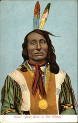 Chief "Bear Goes in the Wood" Native Americana Postcard Postcard